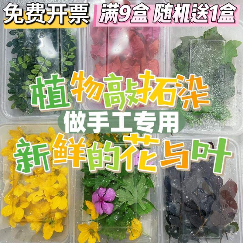 Plant Dyeing Flowers, Mixed Combinations of Fresh Leaves, Florals and Green Plants, Plant Fresh Materials for Rubbing