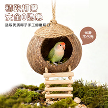 Ҭ���W�^�B�C���B��Ƥĵ����ֳ�C�}���z��Ҭ�Ӛ�������쾰���