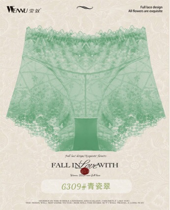 【Flowery Splendor】Negative Ion High-Waisted Seamless Lace Panties for Women, Breathable, Sexy, and Comfortable 【Flowery Splendor】Negative Ion High-Waisted Seamless Lace Panties for Women, Breathable, Sexy, and Comfortable