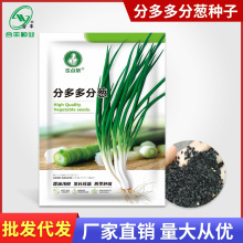 �ֶ����[�N��С�[�N���ļ��̨���ԷN���[ͥԺ�߲˷N�ݏS�����l