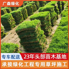 乔木;其他园林植物;灌木