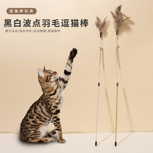 �S��ֱ�N؈��߼��L�؈�U���c��ë��؈����ץҧ؈��������l