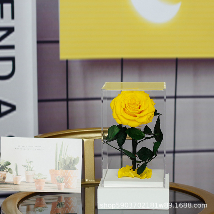 Regalo acrílico del Principito, rosa, Día de San Valentín, regalo de cumpleaños para niña, flor eterna, arte de flor eterna terminado