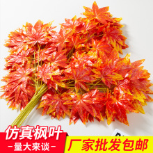 �t���~���~��֦�b٘��~�ٗl���ϼtɫ�~���uצ���쾰�t����