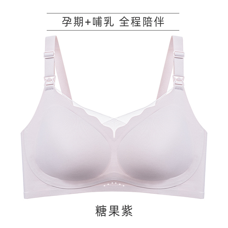 캔디 퍼플