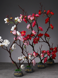 ��ʽ���ϻ� ��ʯ÷���һ��[�P�Ʒ ��˾����[���bٻ��[��