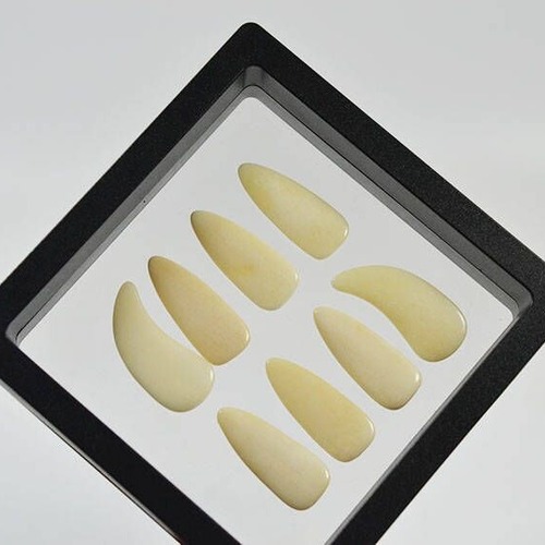 Manufacturer wholesales cow bone guzheng nails for adults and children, special double arc guzheng nails for performance examination