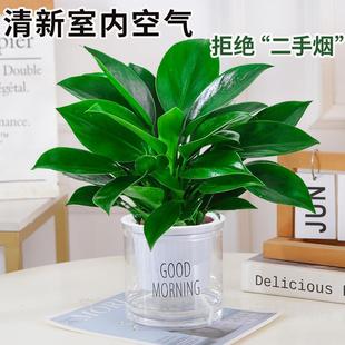 ������ԾG�����҃�ֲ��G�}�jˮ��Gֲ�����k��������˻��ܺ��B