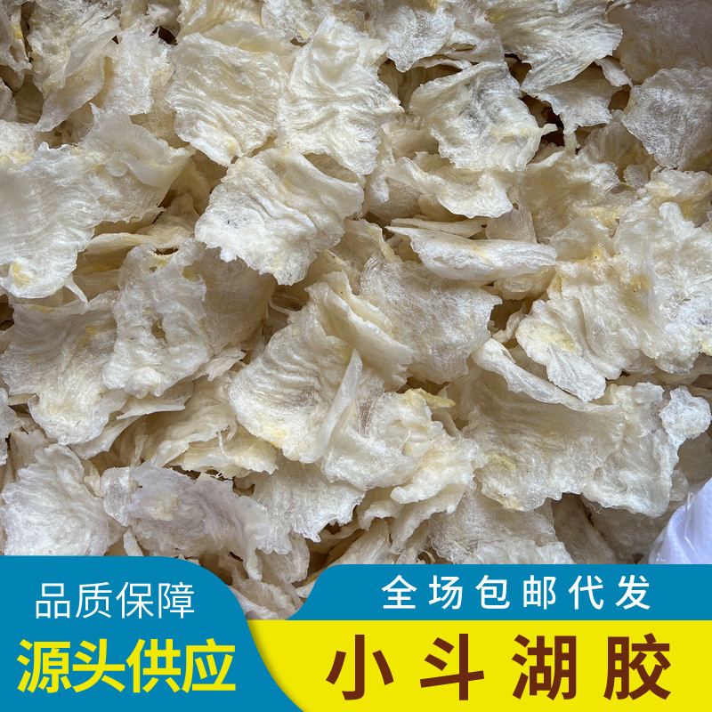 小斗湖鱼胶花胶干货巴沙鱼胶淡水小斗湖胶干货大量批发