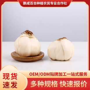 �m���r�ٺ���Ŵ500g���^С���m�����r�ٺ�ʳ����ٺϬF؛���l���l