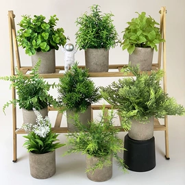 仿真绿植;仿真藤条;仿真盆栽