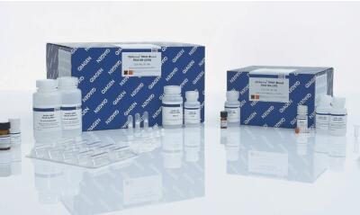 货号55204凯杰qiagen QIAamp MinElute ccfDNA Mini Kit 50