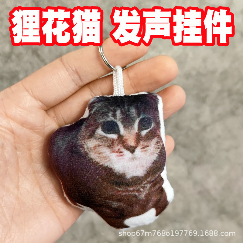 Cat Family Hit Cat Oiiaioi Cat Big Comeback Tabby Cat Creative Voice Keychain Sound-Making Plush Toy
