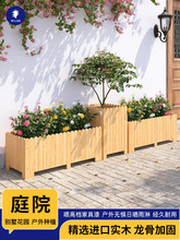 ����ľ�������ͥԺ�����ɫ�L���λ��۷Nֲ�䌍ľ���ֵ��̖�M��