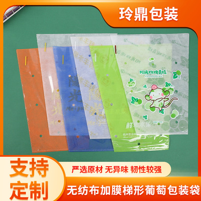 无纺布加膜梯形葡萄包装袋防潮透气高档阳光玫瑰水果包装礼品袋