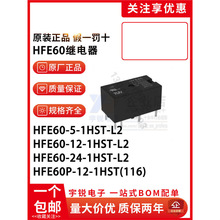 HF�ű��ֺ�l�^���HFE60-5-12-24-1HST-L2 6�_ 8A��DSP1a-L2 60P