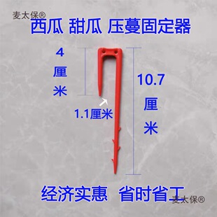 ���ω�����̶�����ݮ��϶��牺���������ֲ�����o�������̫��