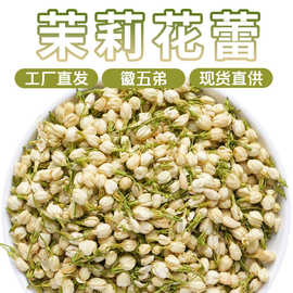 徽五弟茉莉花头茬茉莉花茶茉莉新茶新花花苞多品大货批发一件花苞