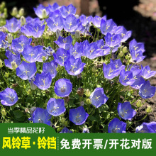 �����L⏲ݷN��200���V���L⏲���K�����҃��������ͺ����ܲݱ�