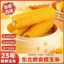 香糯玉米10支装东北真空包装黄糯玉棒早餐代餐即食粘玉米熟黏玉米
