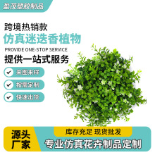 �����Ե���ֲ��ڒ�ֲ�ﱳ�����쾰ֱ���g�b��߱��W�L����Gֲ