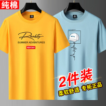 2�������޶�����ʿT��2026�ļ��¿����e�r�ЌW�����䌒���w����