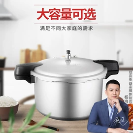 压力锅;电压力锅;蒸锅