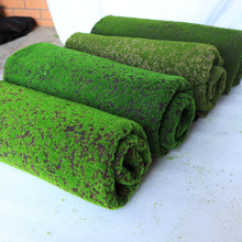 ������̦��Ƥ�Gɫ�����ƺֲ�����΢���^�辰�b�̦�\ֲ�q��Ƥ