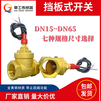 专业生产空气能挡板式流量开关传感器带止回阀功能水流开关|ms