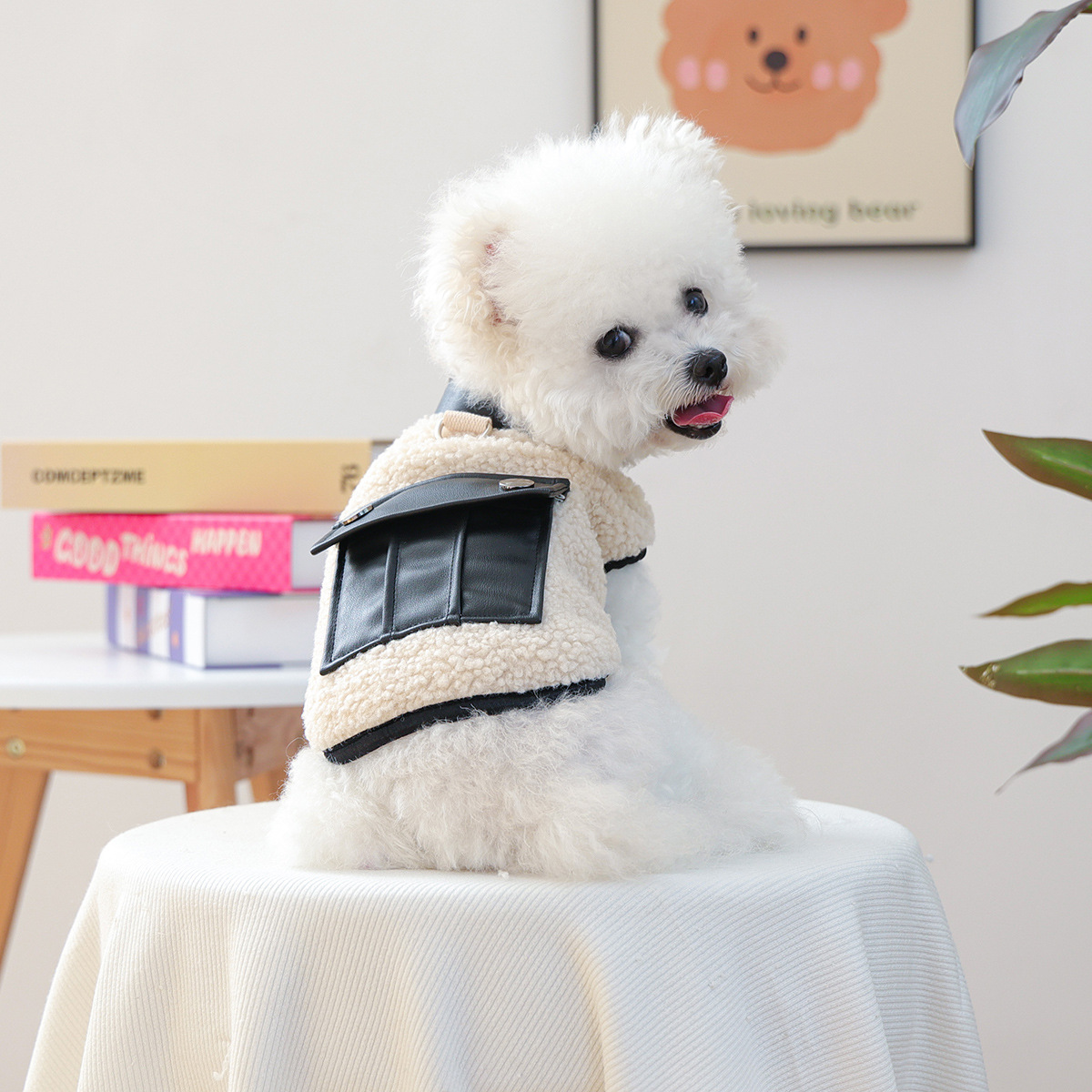 Ropa de mascotas otoño e invierno nuevo cálido forro de lana estilo coreano suéter cálido color frío-resistente Cordero polar tracción suéter