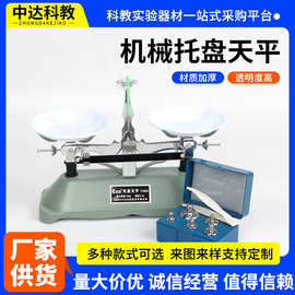 托盘天平带砝码架盘天平物理教学仪器实验架机械托盘天平