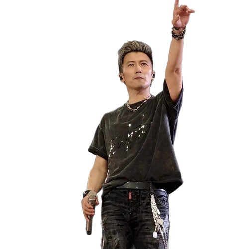 Xie Qingfeng Evolution Concert Merchandise Same Version Short-Sleeve T-Shirt for Men 2025 Washed and Distressed Heavyweight Trendy Clothing