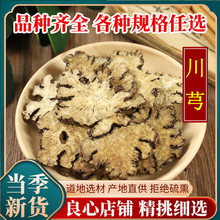 ��ܺ��Ұ���o��ܺ�Ĵ��ɴ�ܺ���ݲ� ���NҎ�� ���]