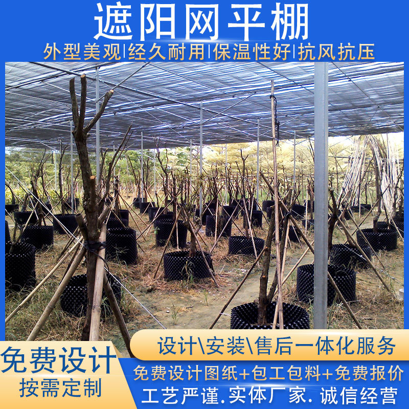 大棚黑色遮阳网防晒遮光农用种植养殖大棚遮阳网厂家批量直销