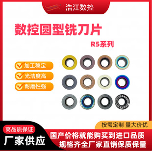 ����㊵�ƬӲ�|�Ͻ�ӹ����ĈA���� R5 RPMW/RPGT/RPMT1003/10T3