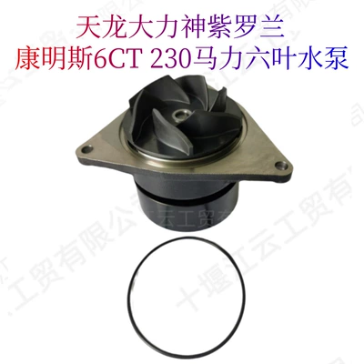 Cummins 6Ct8.3 6Cta 6Ctaa Diesel Engine 230 Horsepower 6-Blade Water Pump 3966841 (Water pump)