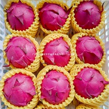 �����lһ������t���ی����lˮ�����rҎ��һ̖�羳�𶼻��������