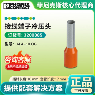 �����˹ԭ�b�Ӿ��� AI 4 -10 OG - �䉺�^ 3200085�䉺���ζ��^