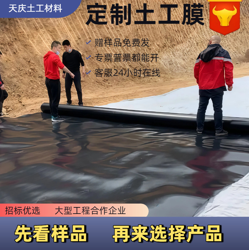 渠道工程防渗土工膜一两布一膜1.0mm河道沟渠边坡防渗复 合土工膜