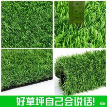 �����ƺ��̺�ٲ�Ƥ�Gɫ���χ����˹��ݵ�䁉|���������؉|����