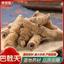 ��������� ��ș�İ���� �͙C�� �oѬ����о����� ���l�����