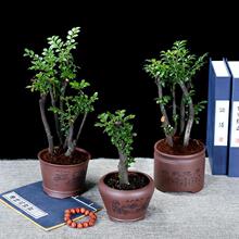 С�~��̴������̴�辰�҃ȳ��Gֲ�����F���������ļ����B�辰�Ϙ�