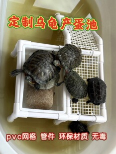 �����������µ���ˮ���a����ɳ��ĸ���µ��������ɳ�P��ֳ��