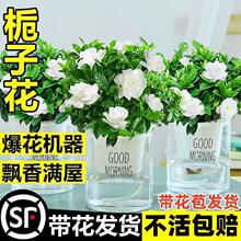 �d�ӻ����Ի���ֲ���҃Ȏ������̨ˮ��Gֲ�����ʹ�����ļ����B