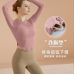 Women's Long Sleeve Yoga Top with Bra Cup, Sports Dry Run Fitness T-Shirt, Tight Fitting, Slimming Hooded Sweatshirt for Autumn and Winter