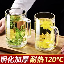 钢化玻璃杯茶杯带把手家用防摔啤酒杯子耐高温个人水杯泡茶杯