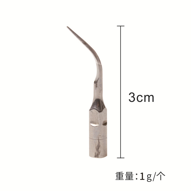 Dental oral material Acero inoxidable diente limpiador cuchillo cabeza mango diente limpiador punta de trabajo quitar cálculo dental