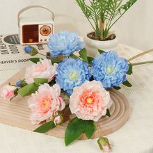 ��c6�^ĵ���ֹ����滨�������m���Y�����������l�羳Դ�^�S��