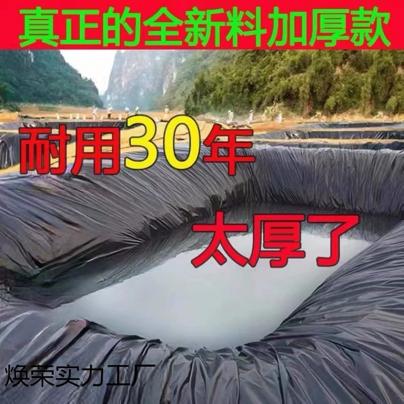 Пруд для разведения рыбы