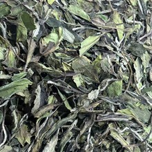 春寿成就一泡好茶，需天时地利人和萎凋是白茶加工工艺的主要环节